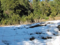 /album/fotogaleria/san-fabian-1-jpg/